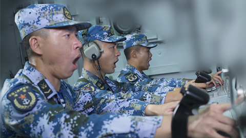 海軍?？谂炇抗偃后w：挺進(jìn)深藍(lán)的“定海神針”