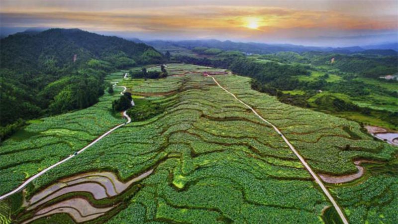 科技助力，農(nóng)旅結(jié)合 紅色老區(qū)建寧“綠色崛起”