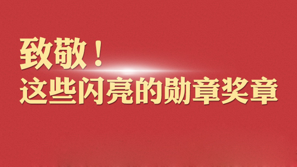 致敬！這些閃亮的勛章獎章