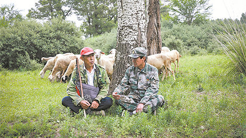 高清大圖｜塞北荒山，老兵播種“綠色夢(mèng)”