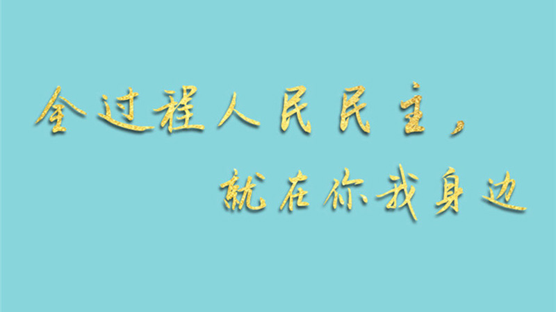 兩會手繪長卷：全過程人民民主，就在你我身邊