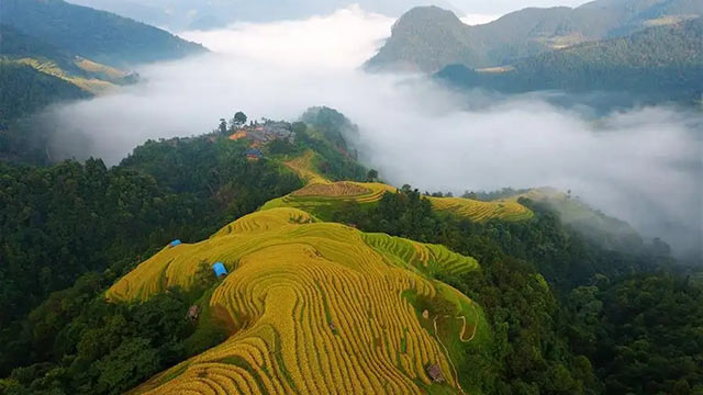 《領航》第10集 綠水青山