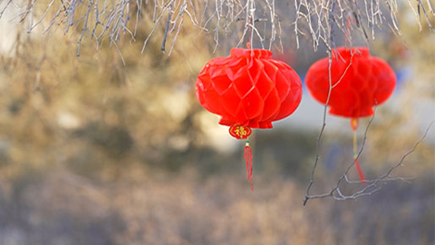新春走軍營 | 爸媽，我在這里挺好的