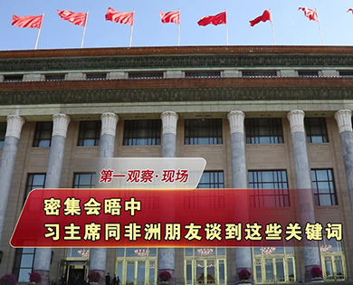 密集會晤中，習(xí)主席同非洲朋友談到這些關(guān)鍵詞
